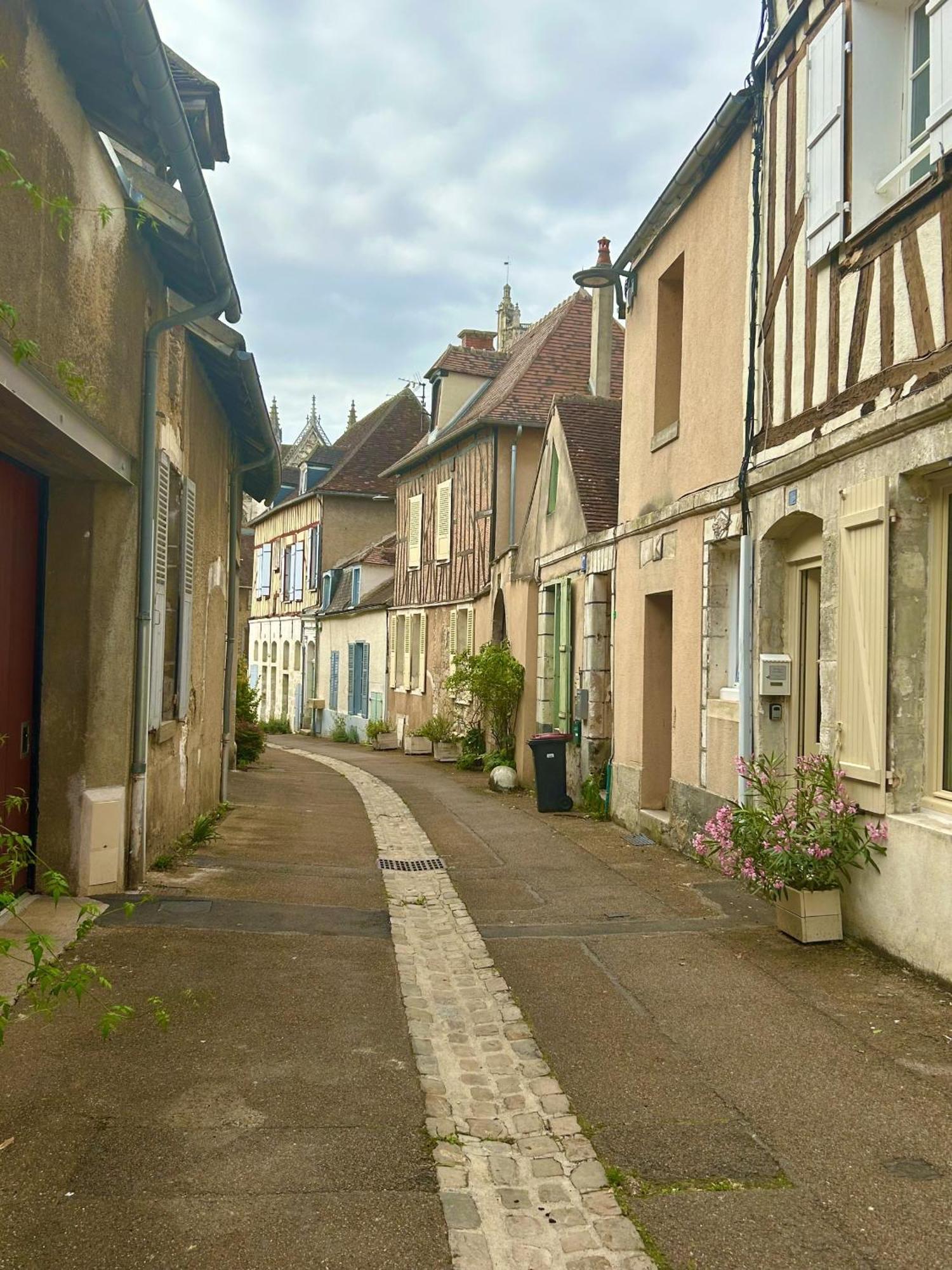 L'Annexe De L'Abbaye Apartment Auxerre Luaran gambar